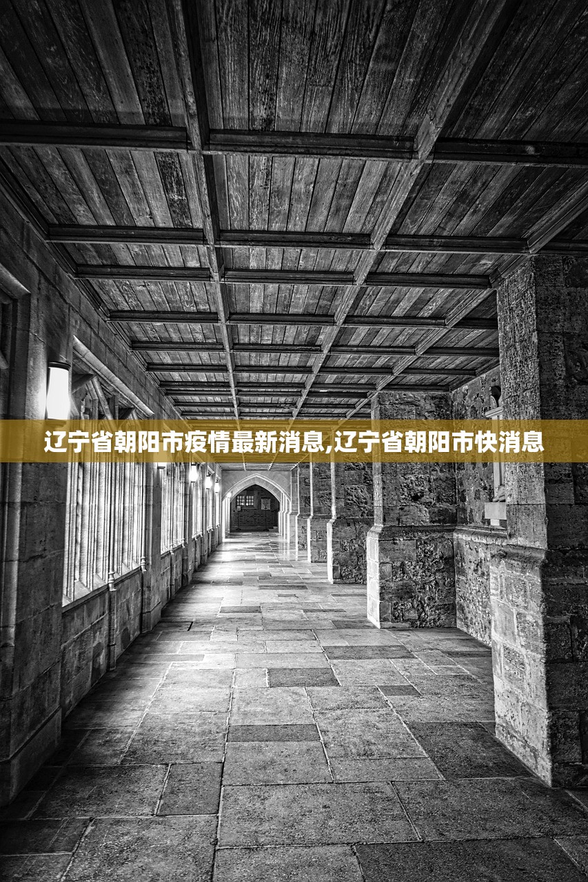 辽宁省朝阳市疫情最新消息,辽宁省朝阳市快消息