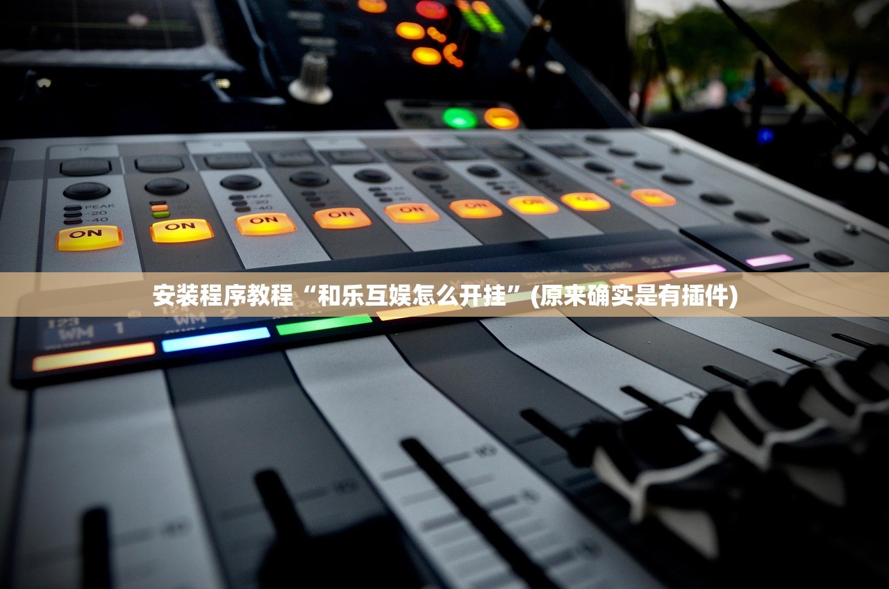 安装程序教程“和乐互娱怎么开挂”(原来确实是有插件)