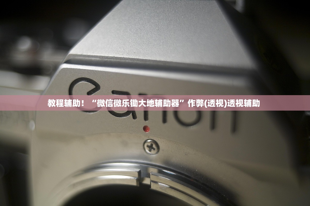 教程辅助！“微信微乐锄大地辅助器”作弊(透视)透视辅助 