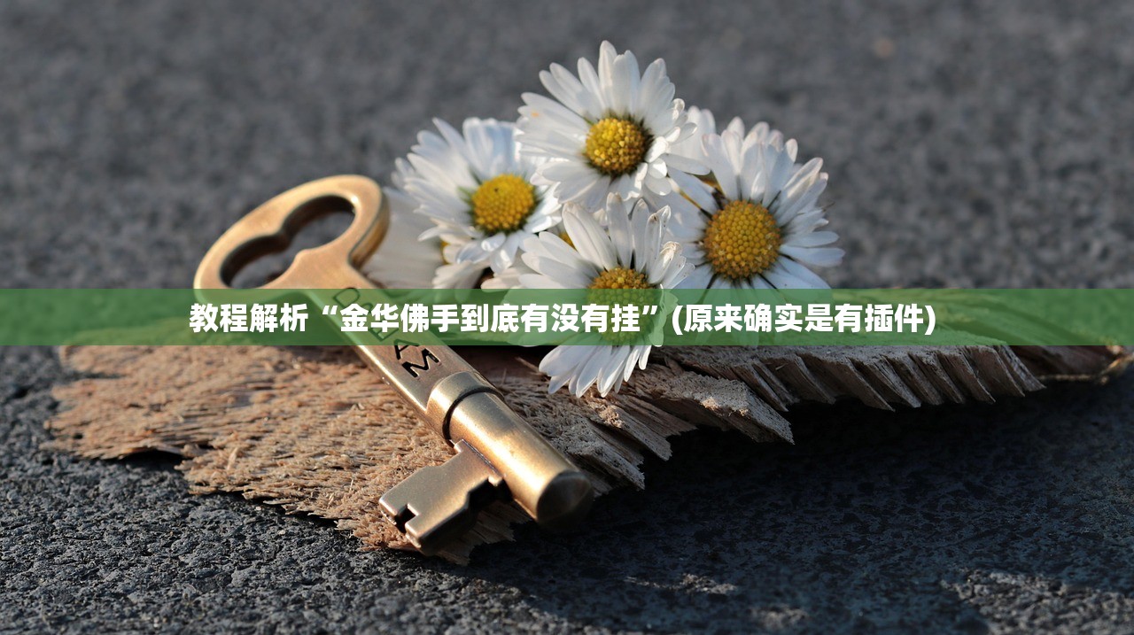 教程解析“金华佛手到底有没有挂”(原来确实是有插件) 