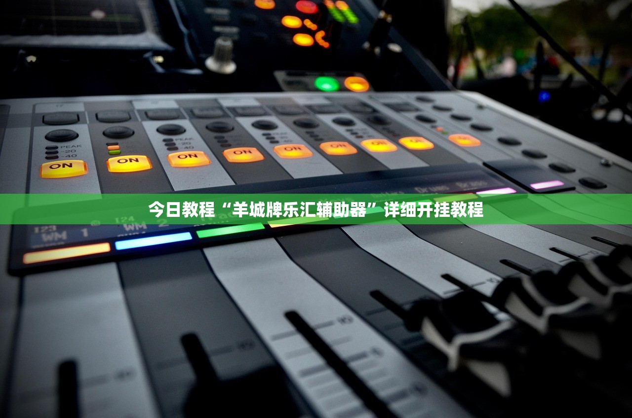 今日教程“羊城牌乐汇辅助器	”详细开挂教程