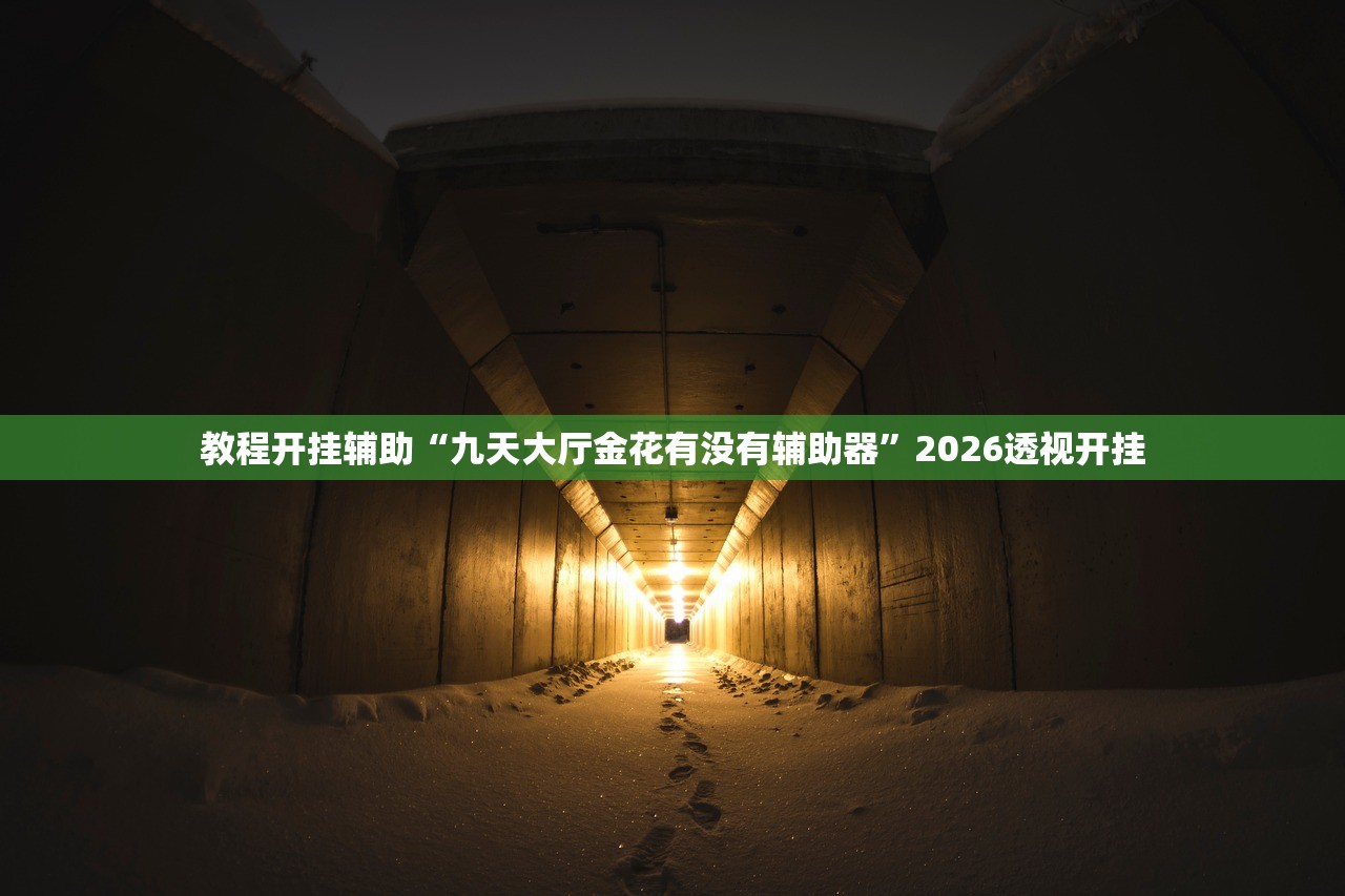 教程开挂辅助“九天大厅金花有没有辅助器	”2026透视开挂