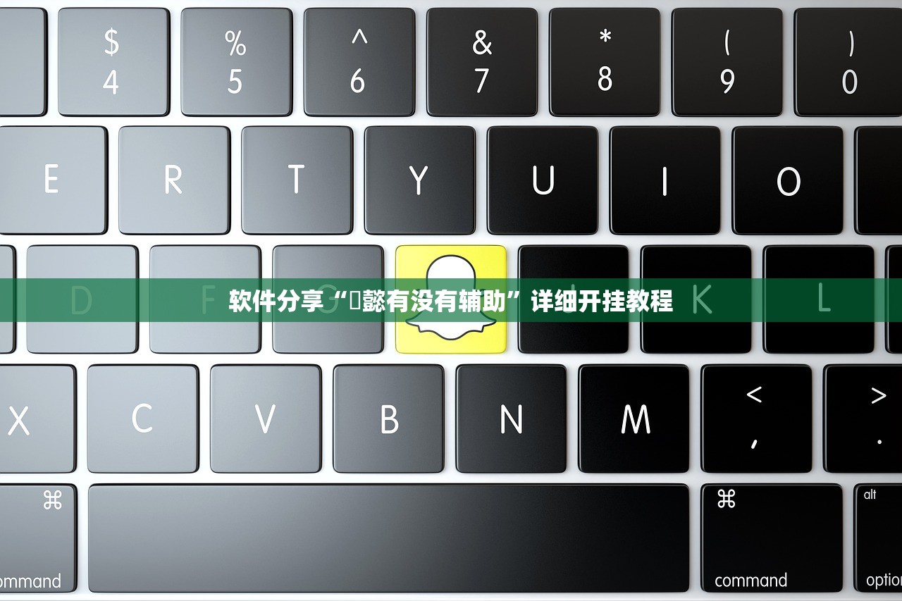 软件分享“堯懿有没有辅助”详细开挂教程