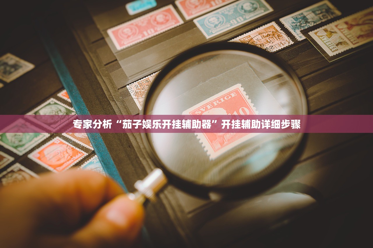 专家分析“茄子娱乐开挂辅助器”开挂辅助详细步骤