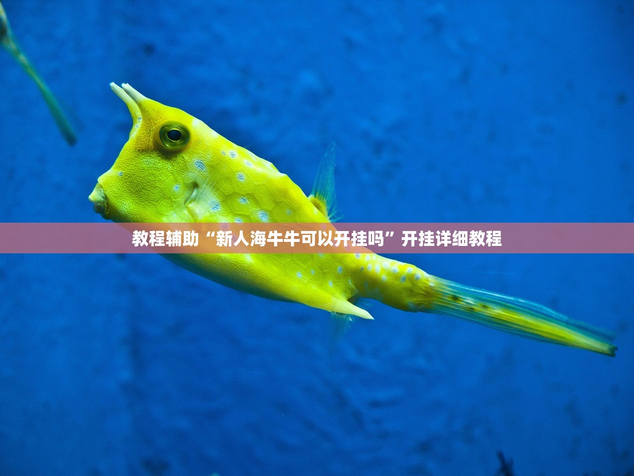 教程辅助“新人海牛牛可以开挂吗”开挂详细教程