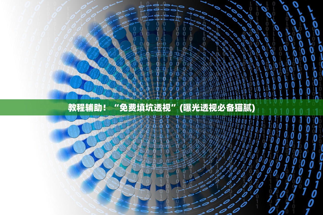 教程辅助！“免费填坑透视”(曝光透视必备猫腻)