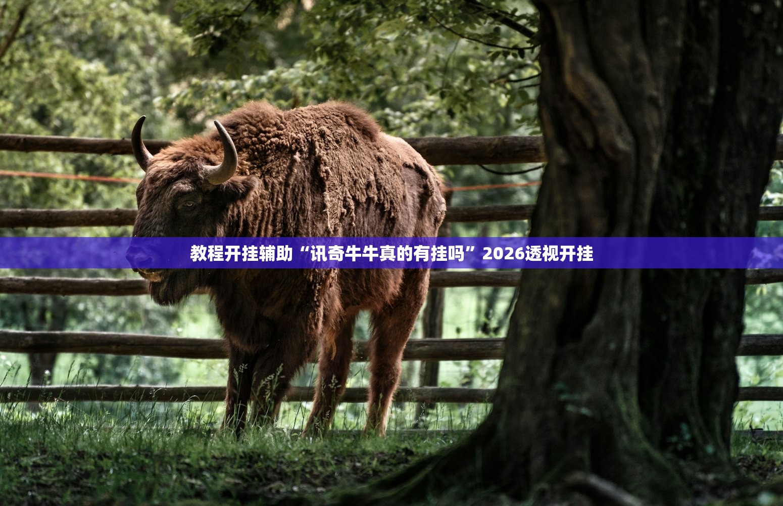 教程开挂辅助“讯奇牛牛真的有挂吗”2026透视开挂