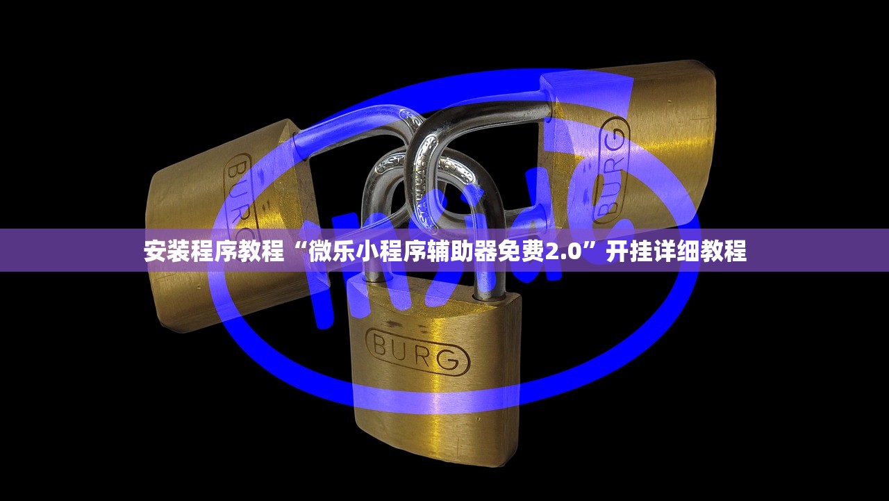 安装程序教程“微乐小程序辅助器免费2.0”开挂详细教程