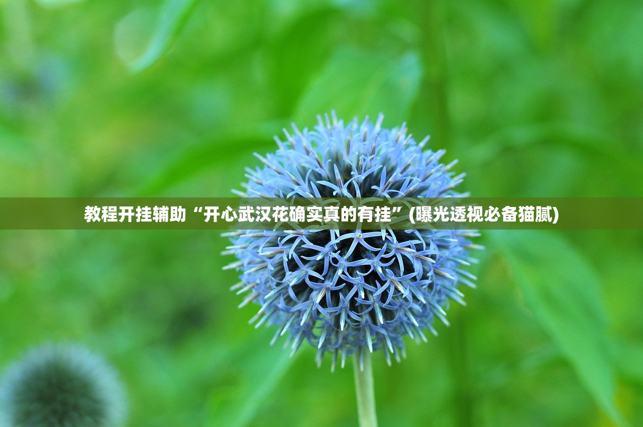 教程开挂辅助“开心武汉花确实真的有挂	”(曝光透视必备猫腻)