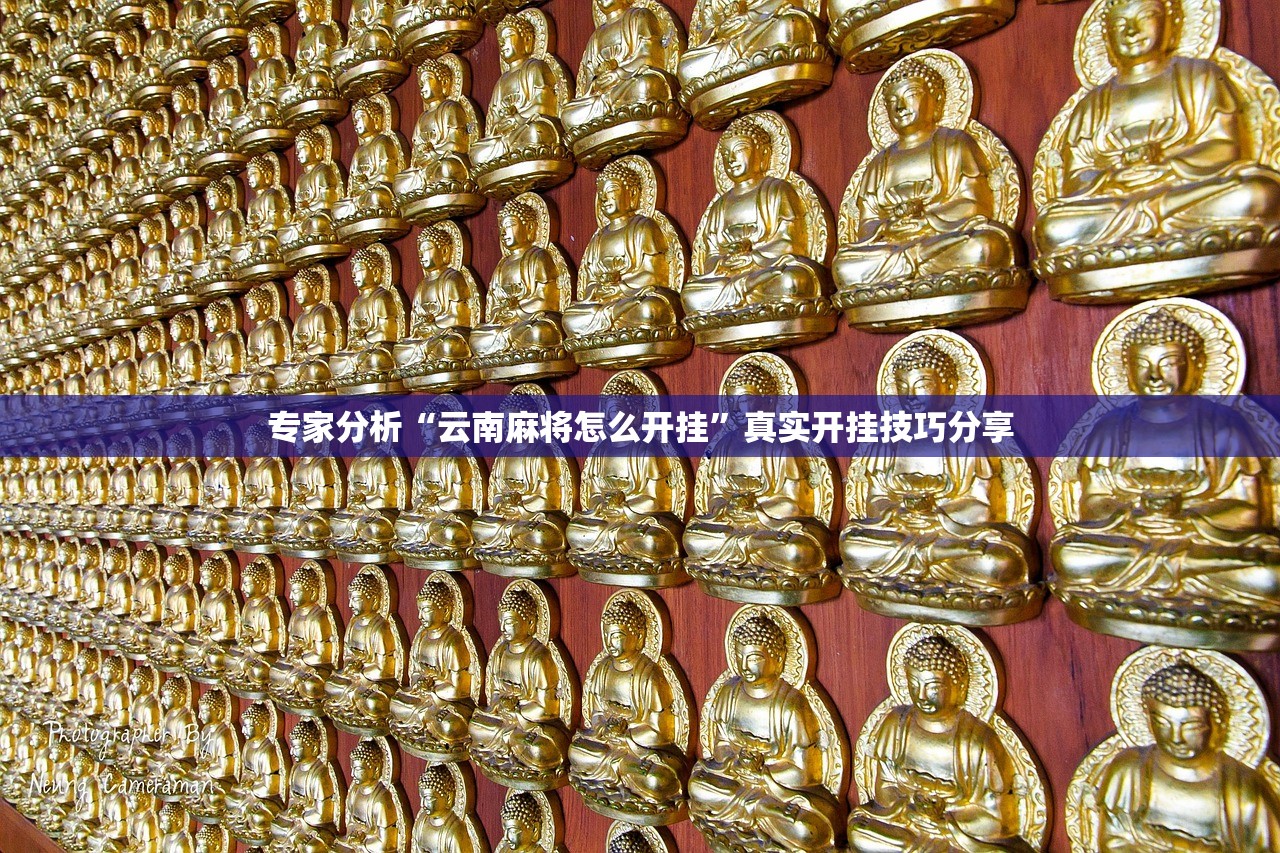 专家分析“云南麻将怎么开挂”真实开挂技巧分享