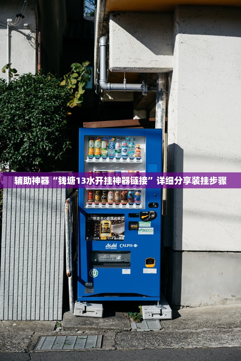 辅助神器“钱塘13水开挂神器链接”详细分享装挂步骤