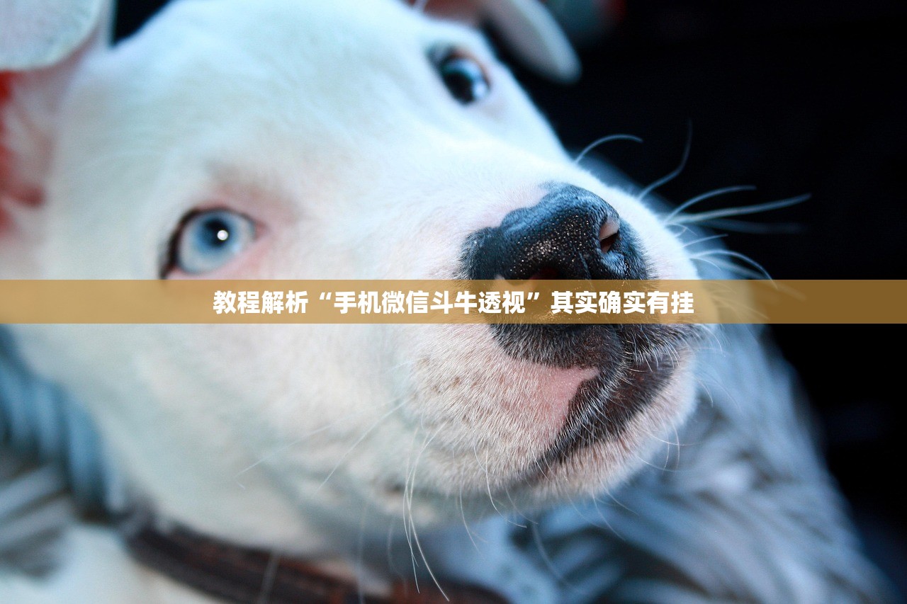 教程解析“手机微信斗牛透视”其实确实有挂
