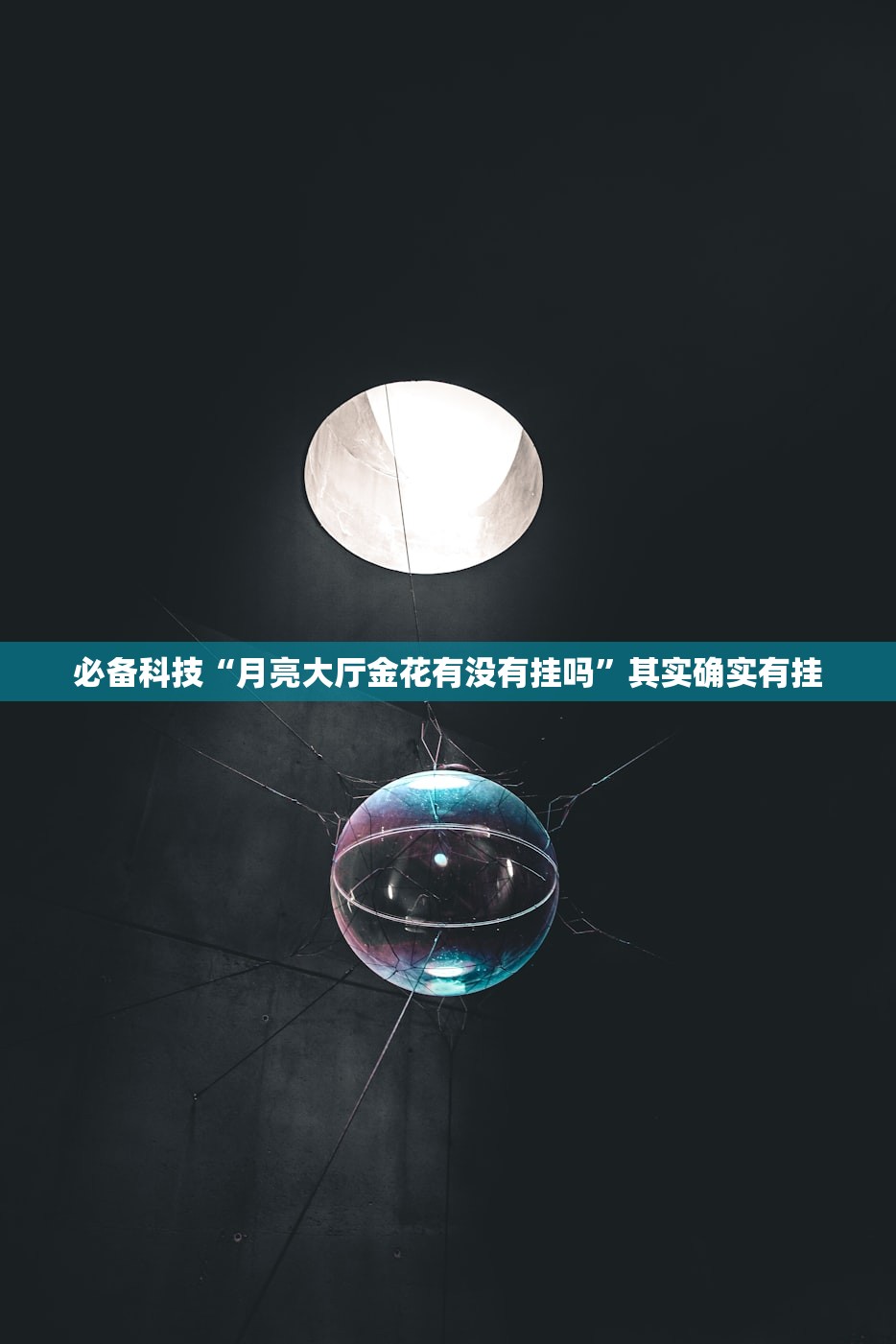 必备科技“月亮大厅金花有没有挂吗	”其实确实有挂