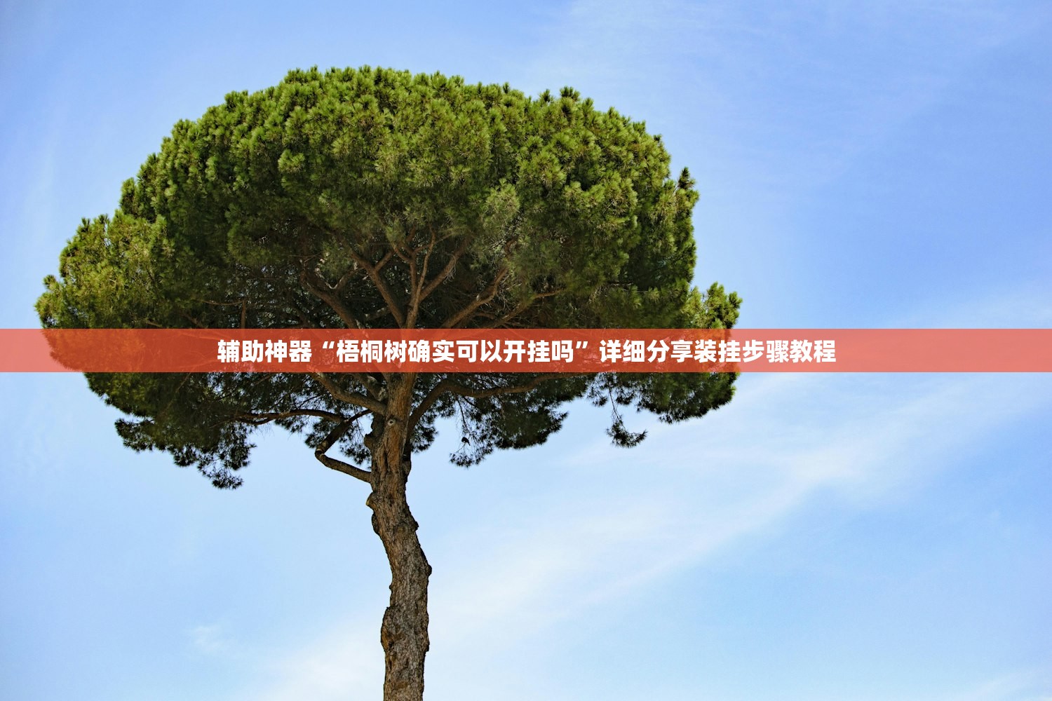 辅助神器“梧桐树确实可以开挂吗	”详细分享装挂步骤教程
