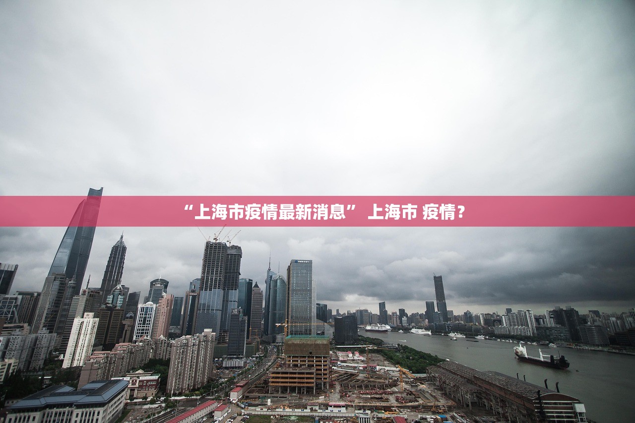 “上海市疫情最新消息” 上海市 疫情？