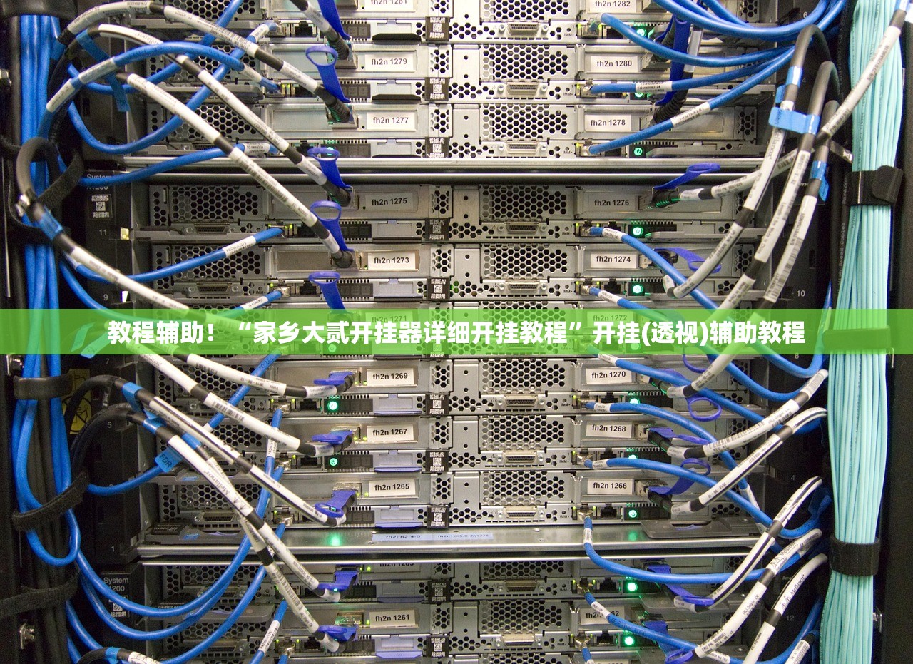 教程辅助！“家乡大贰开挂器详细开挂教程”开挂(透视)辅助教程