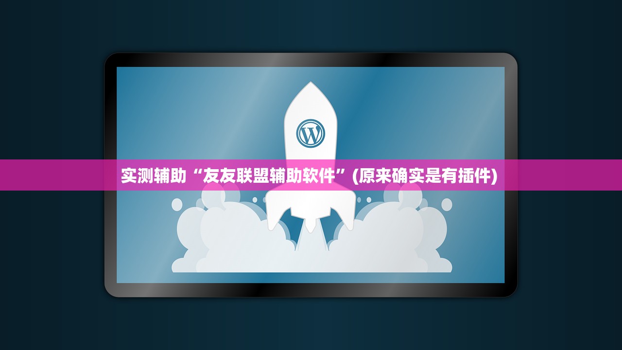 实测辅助“友友联盟辅助软件”(原来确实是有插件) 