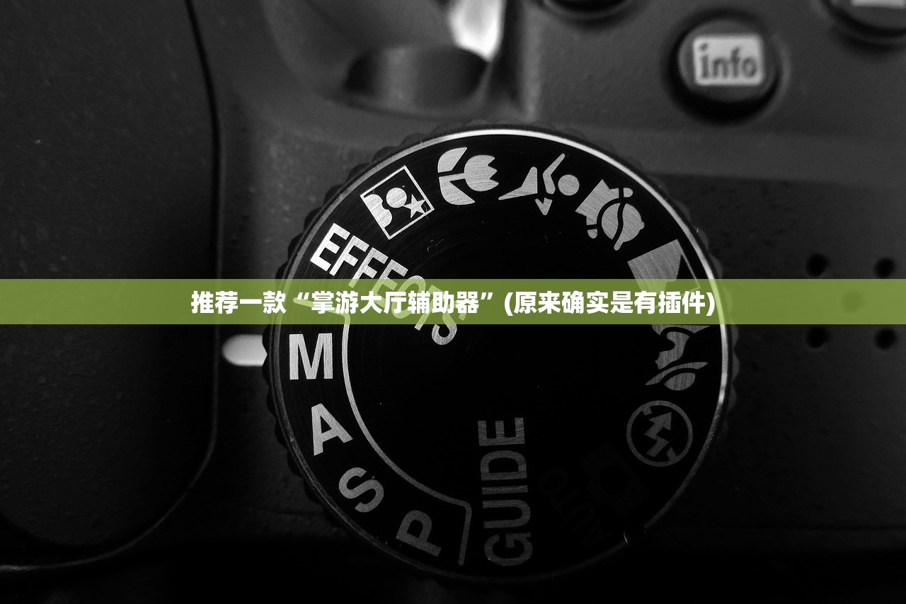 推荐一款“掌游大厅辅助器”(原来确实是有插件)