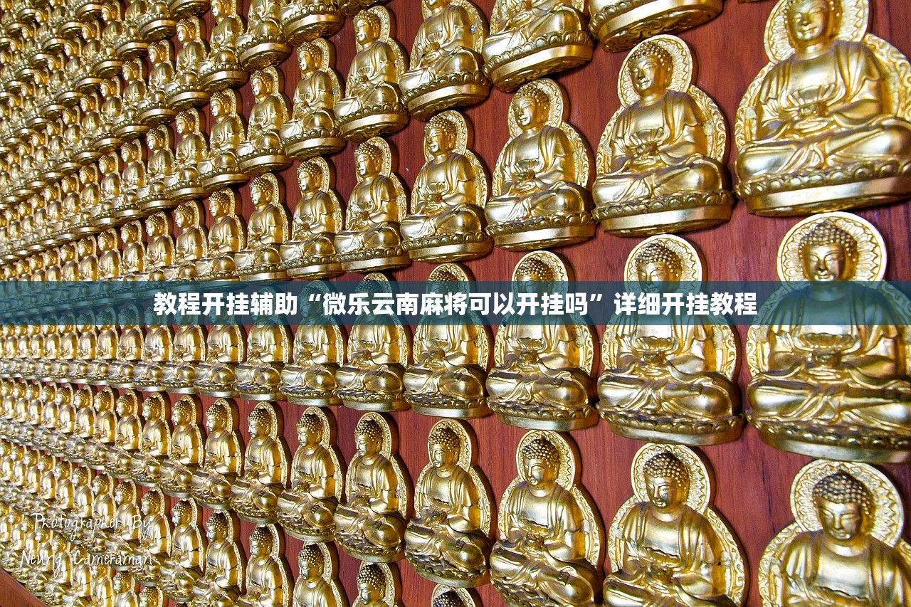 教程开挂辅助“微乐云南麻将可以开挂吗”详细开挂教程