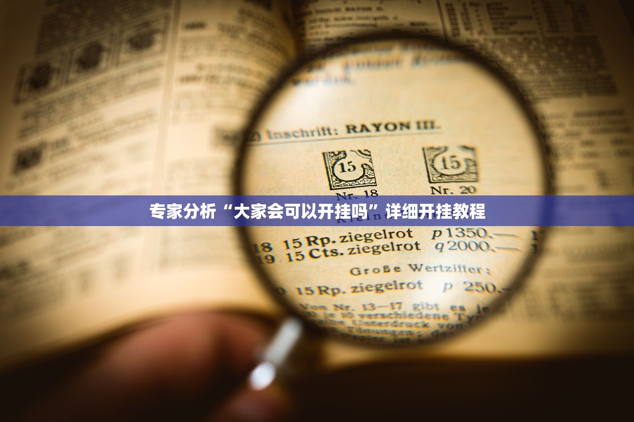 专家分析“大家会可以开挂吗	”详细开挂教程