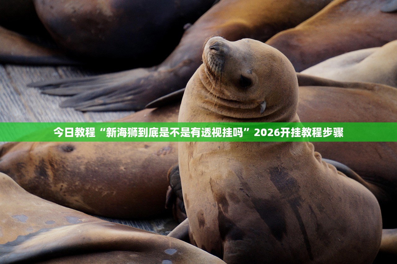 今日教程“新海狮到底是不是有透视挂吗”2026开挂教程步骤