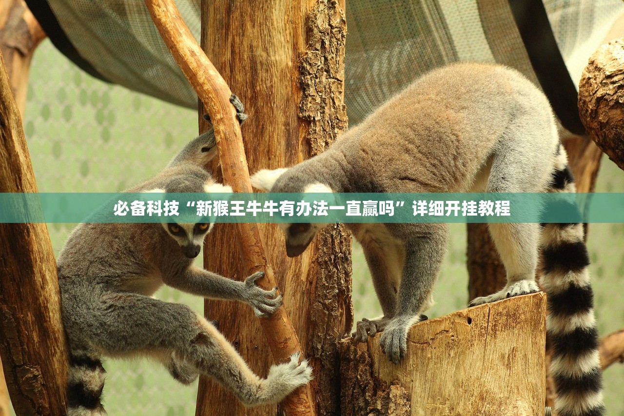 必备科技“新猴王牛牛有办法一直赢吗”详细开挂教程