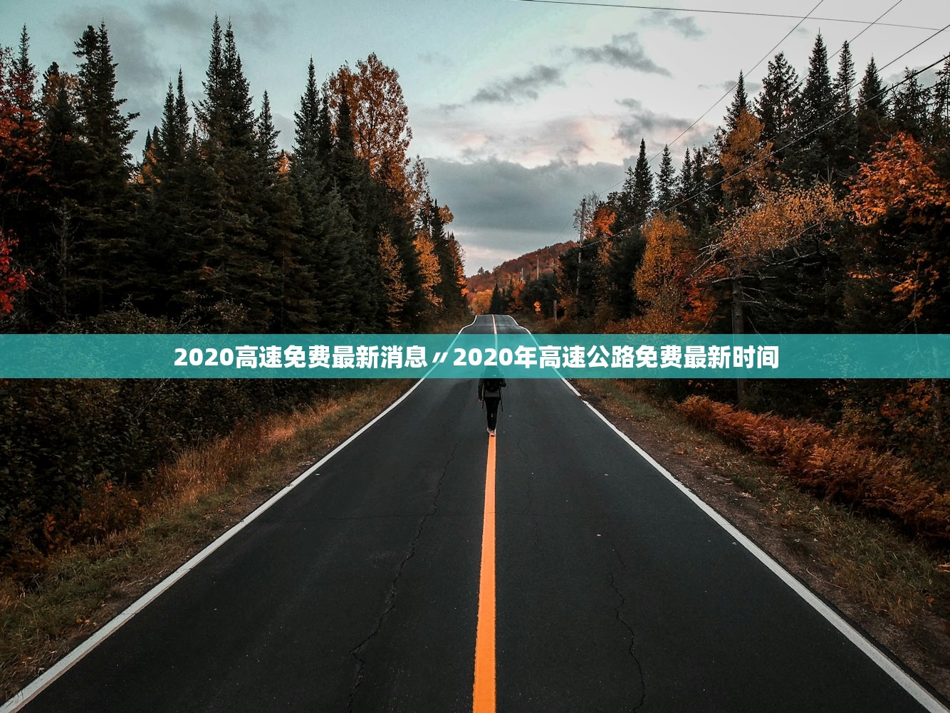 2020高速免费最新消息〃2020年高速公路免费最新时间 2020高速免费最新消息〃2020年高速公路免费最新时间