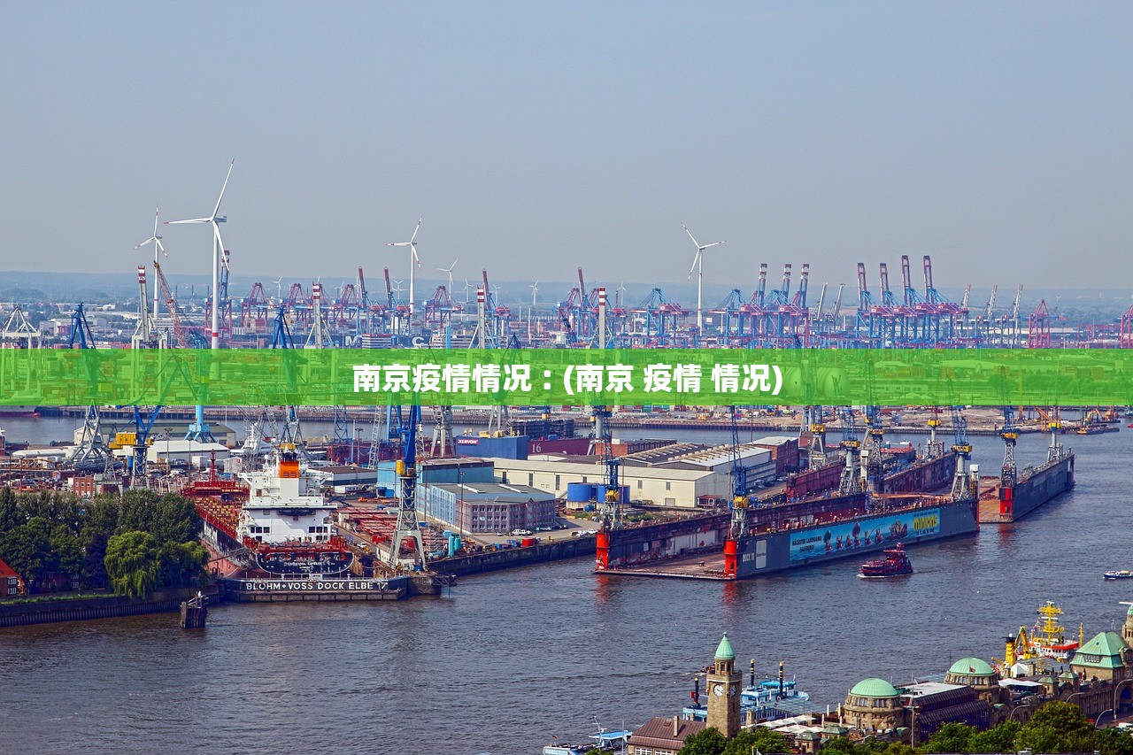 南京疫情情况︰(南京 疫情 情况)