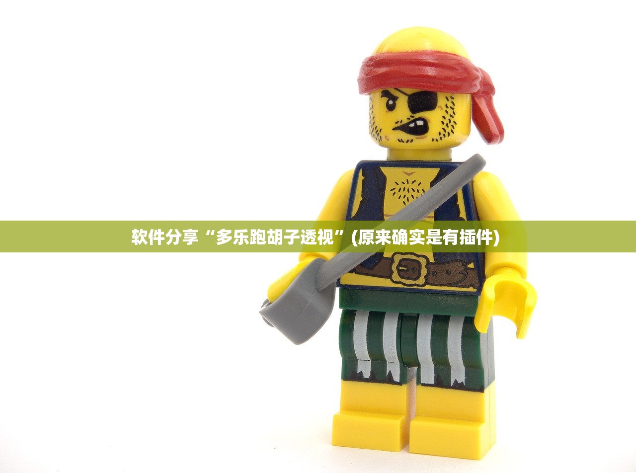 软件分享“多乐跑胡子透视	”(原来确实是有插件) 