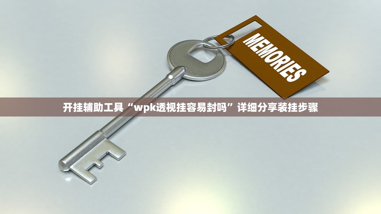 开挂辅助工具“wpk透视挂容易封吗”详细分享装挂步骤