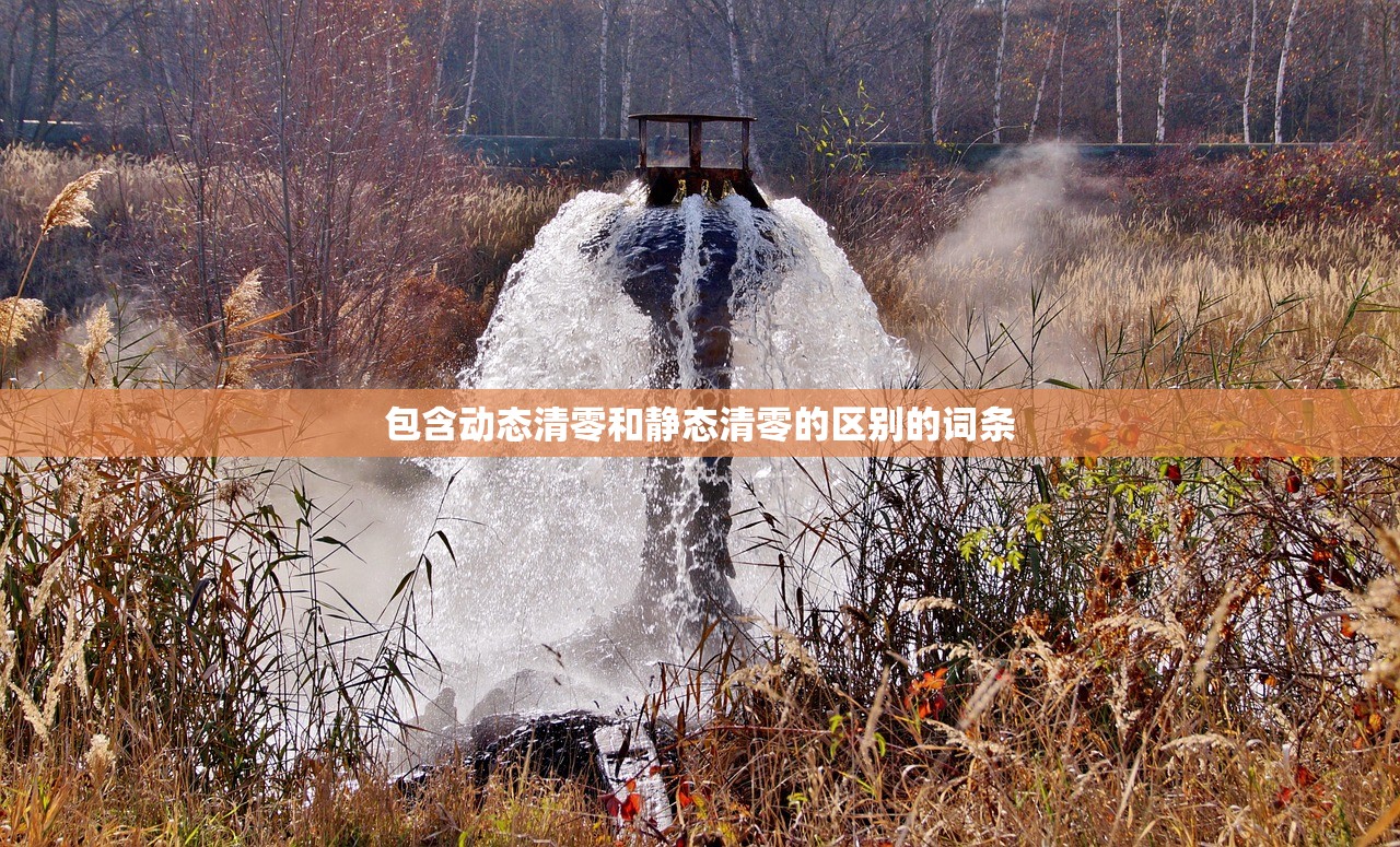包含动态清零和静态清零的区别的词条