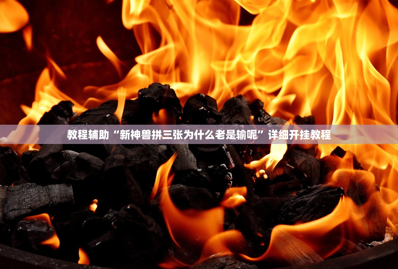 教程辅助“新神兽拼三张为什么老是输呢	”详细开挂教程