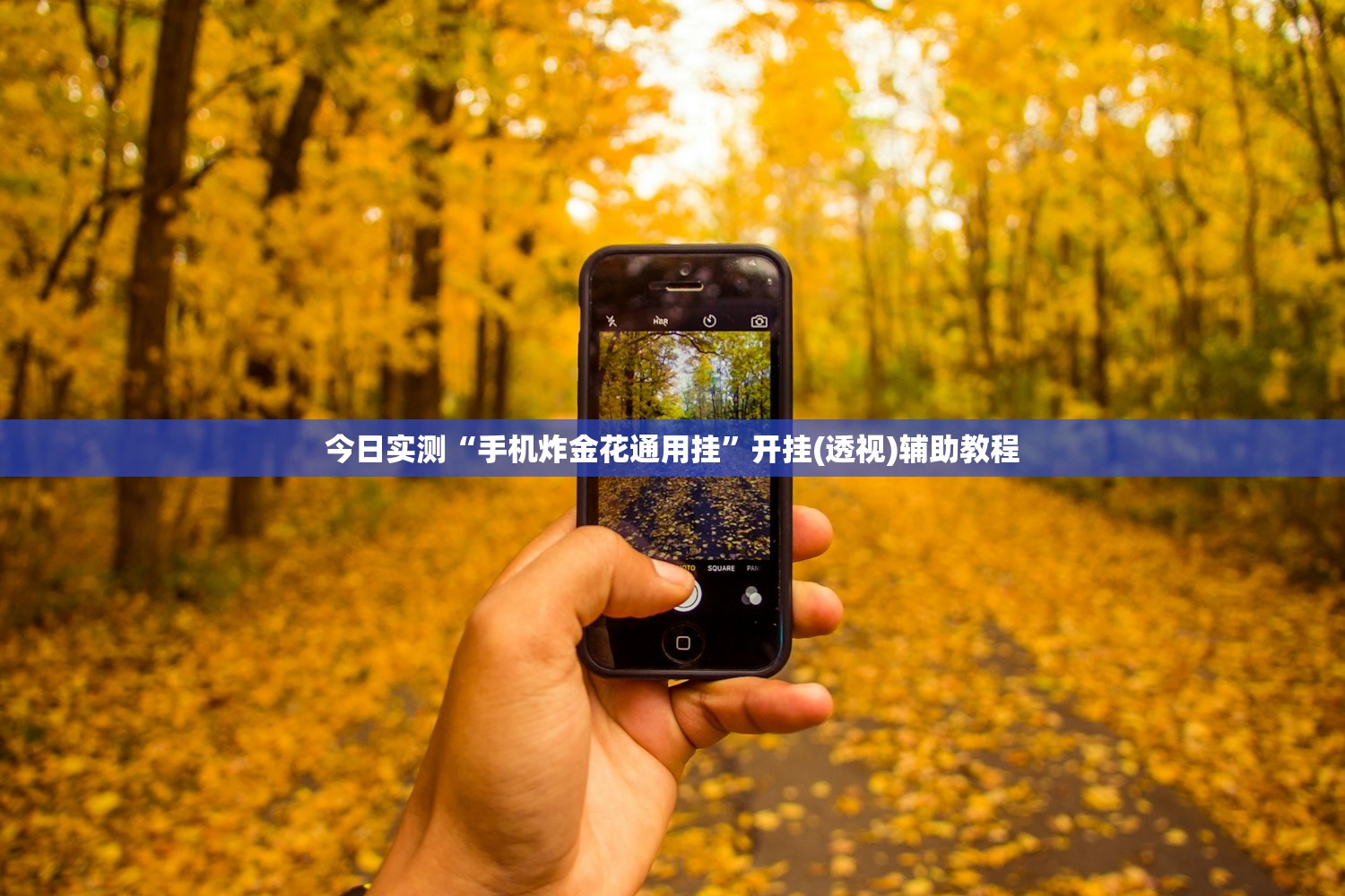 今日实测“手机炸金花通用挂”开挂(透视)辅助教程