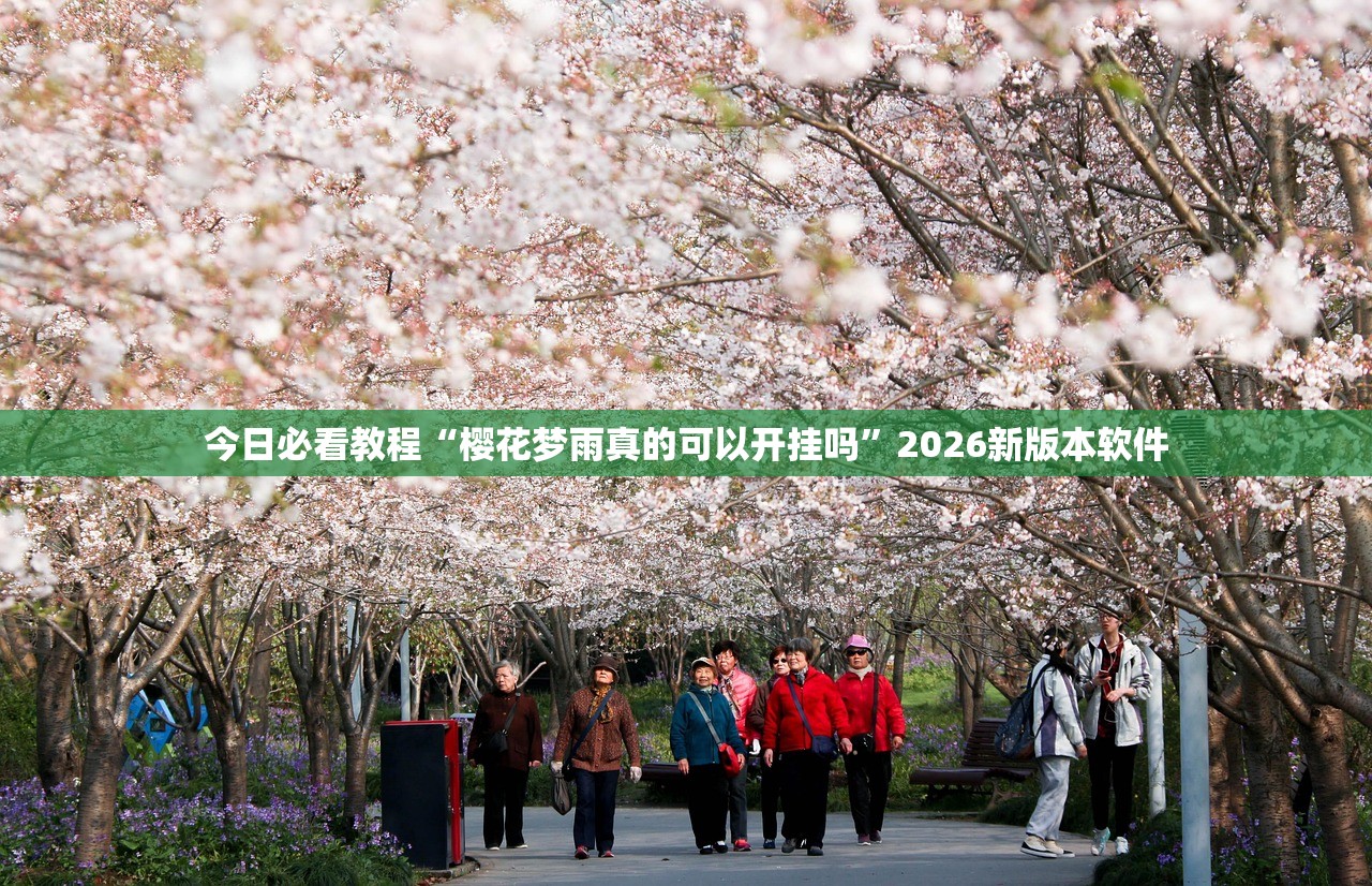 今日必看教程“樱花梦雨真的可以开挂吗”2026新版本软件