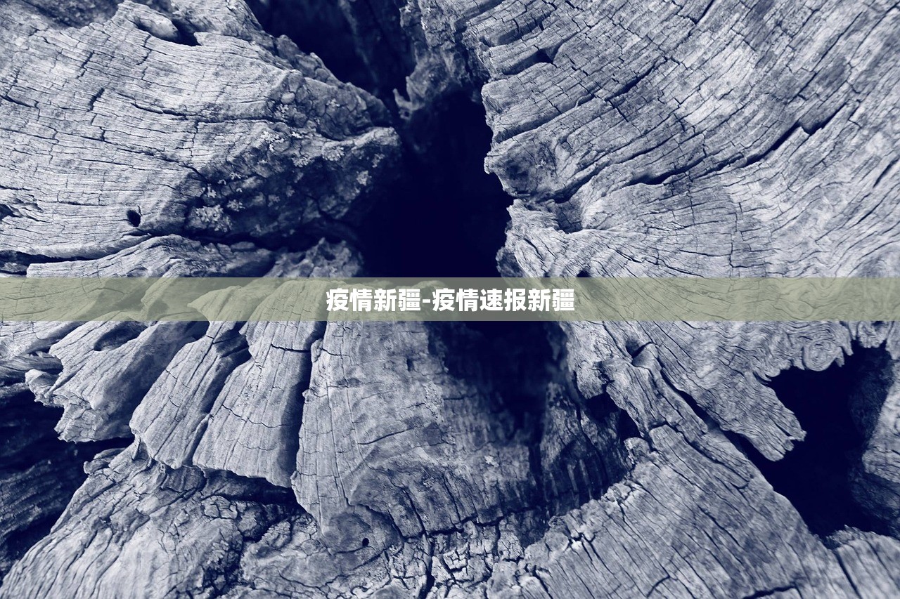 疫情新疆-疫情速报新疆