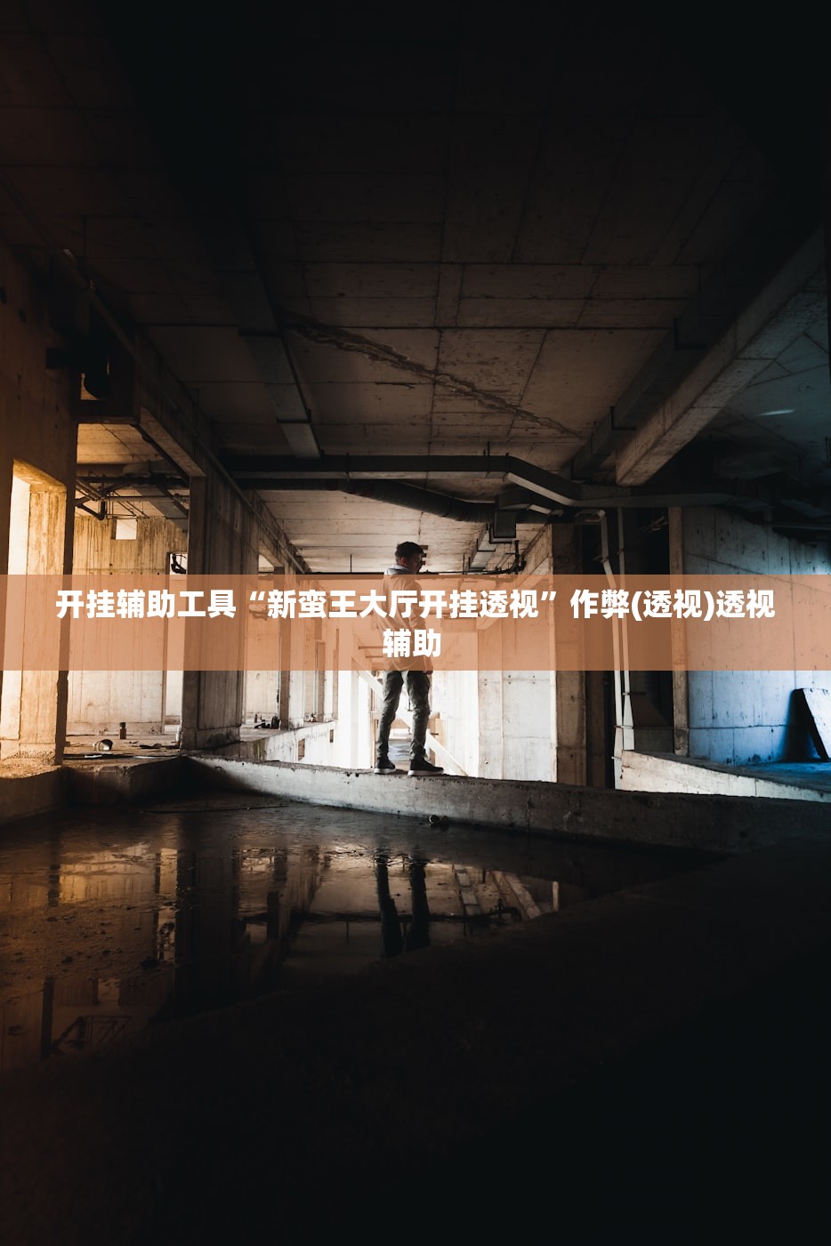 开挂辅助工具“新蛮王大厅开挂透视”作弊(透视)透视辅助 