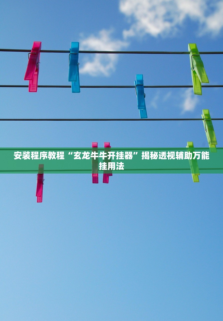 安装程序教程“玄龙牛牛开挂器”揭秘透视辅助万能挂用法