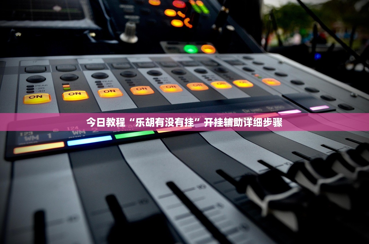 今日教程“乐胡有没有挂	”开挂辅助详细步骤