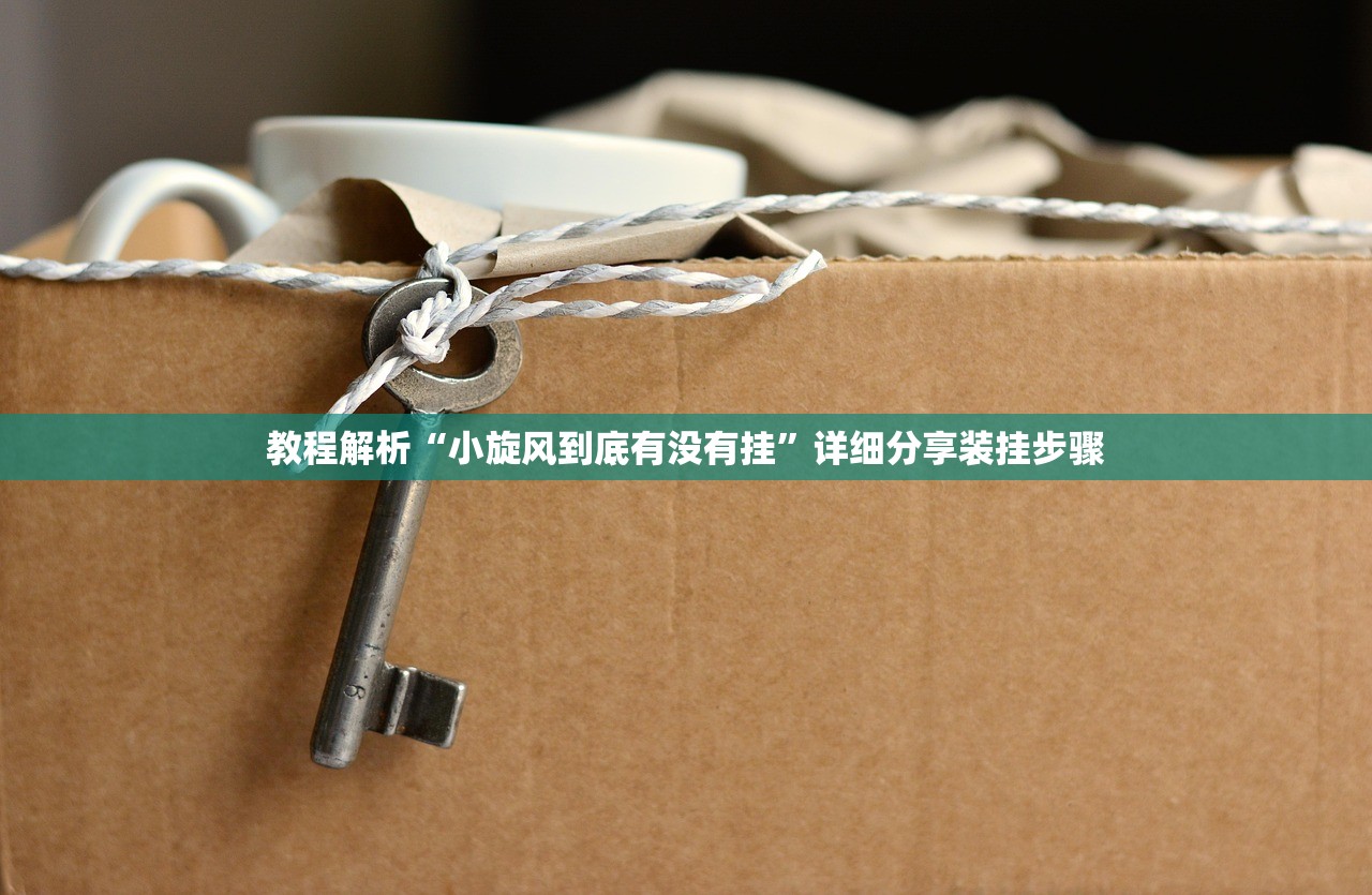 教程解析“小旋风到底有没有挂	”详细分享装挂步骤