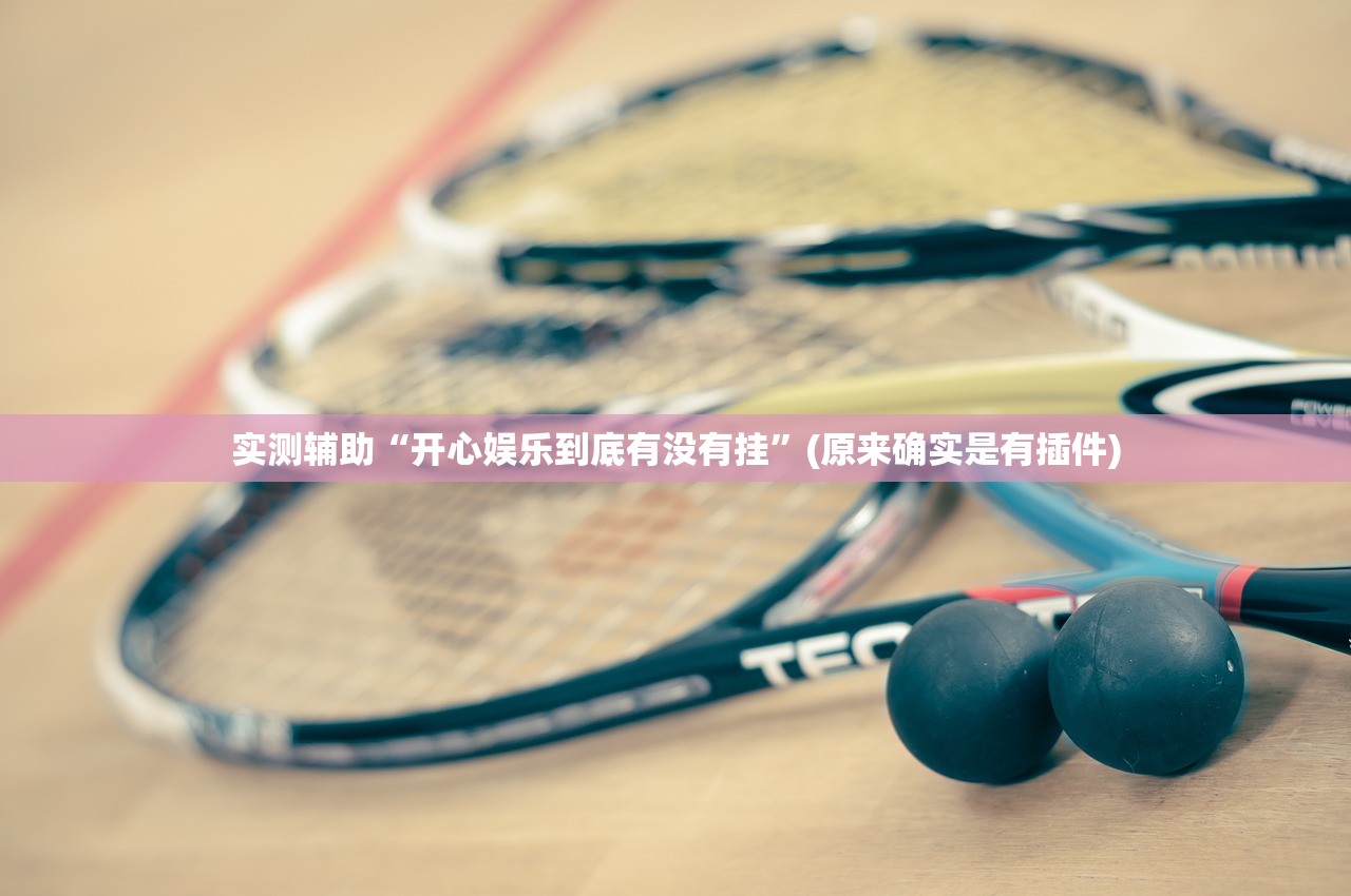 实测辅助“开心娱乐到底有没有挂”(原来确实是有插件)