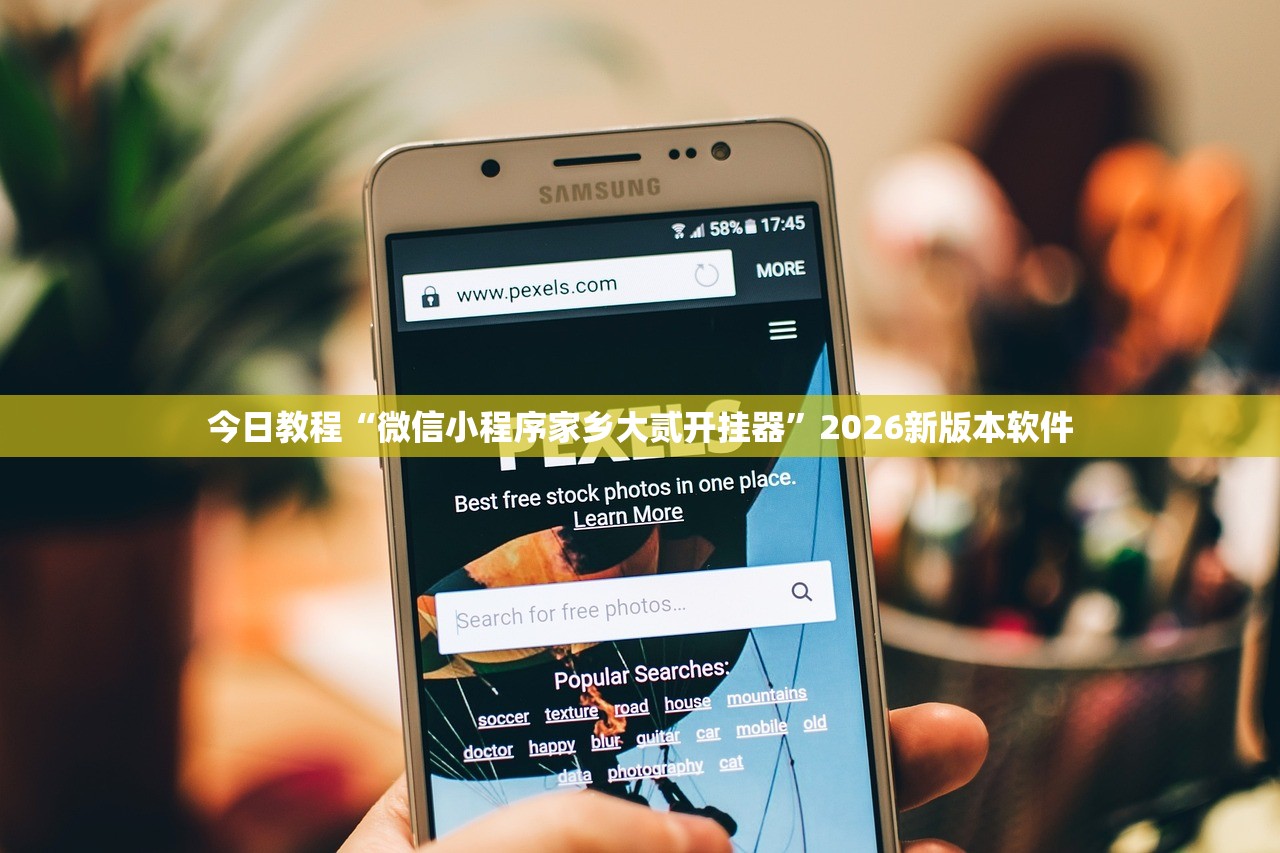 今日教程“微信小程序家乡大贰开挂器	”2026新版本软件