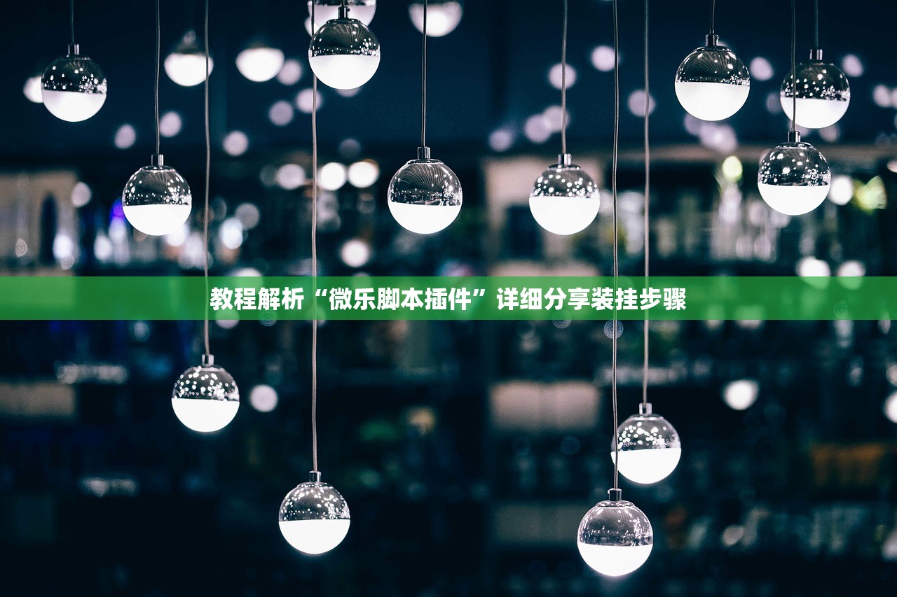 教程解析“微乐脚本插件”详细分享装挂步骤