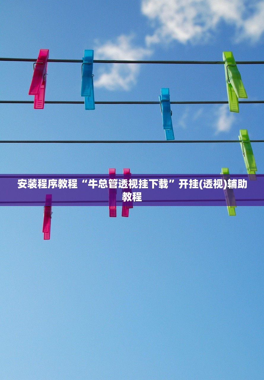 安装程序教程“牛总管透视挂下载”开挂(透视)辅助教程