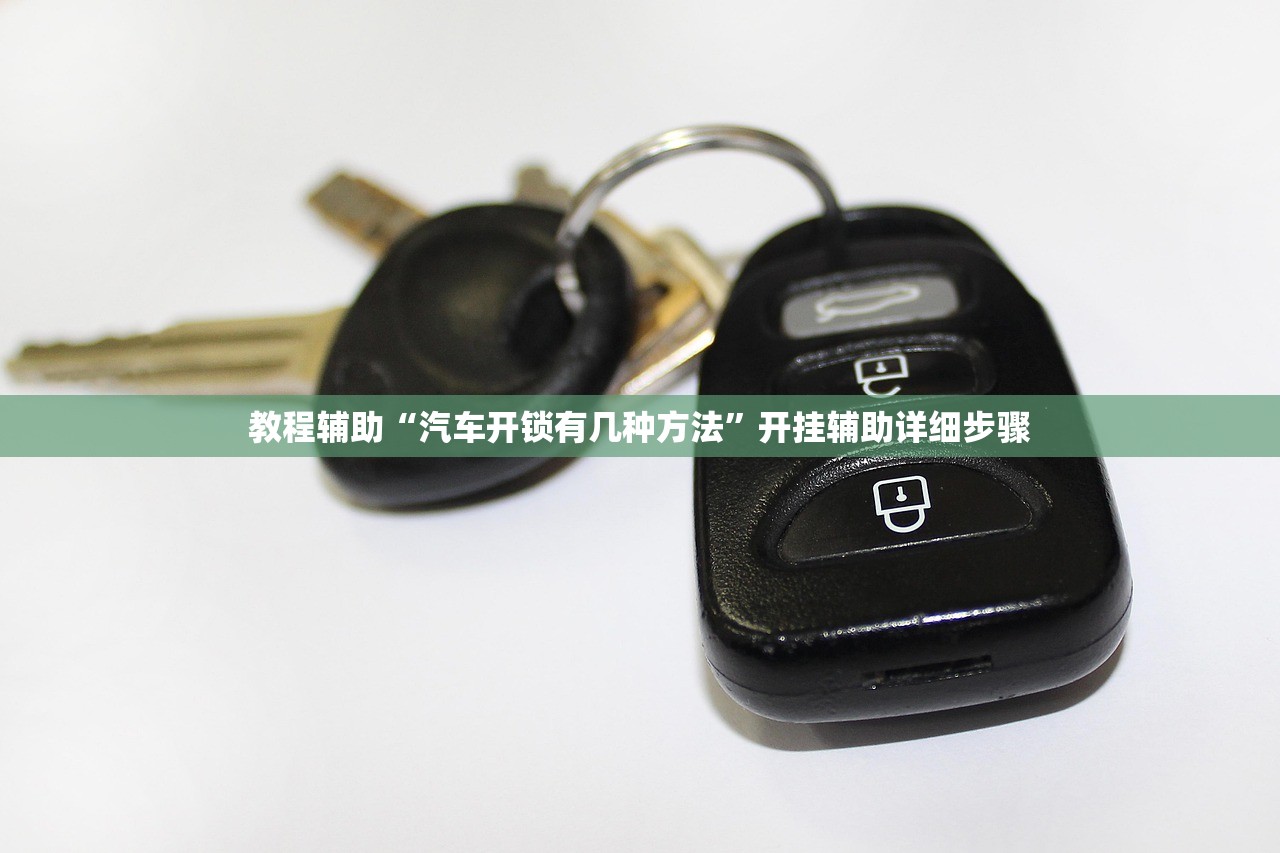 教程辅助“汽车开锁有几种方法”开挂辅助详细步骤
