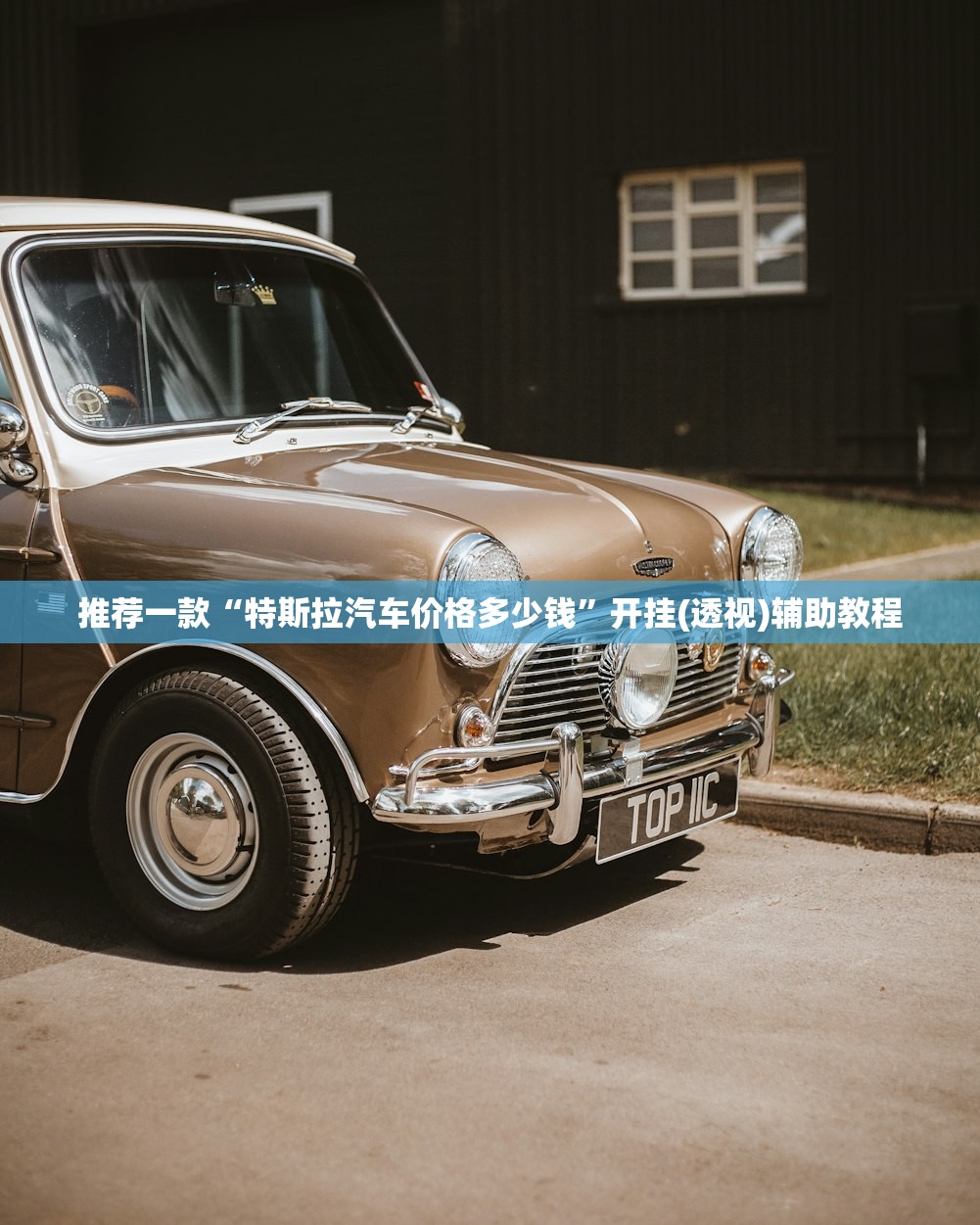 推荐一款“特斯拉汽车价格多少钱”开挂(透视)辅助教程