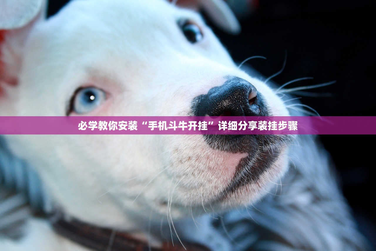 必学教你安装“手机斗牛开挂	”详细分享装挂步骤