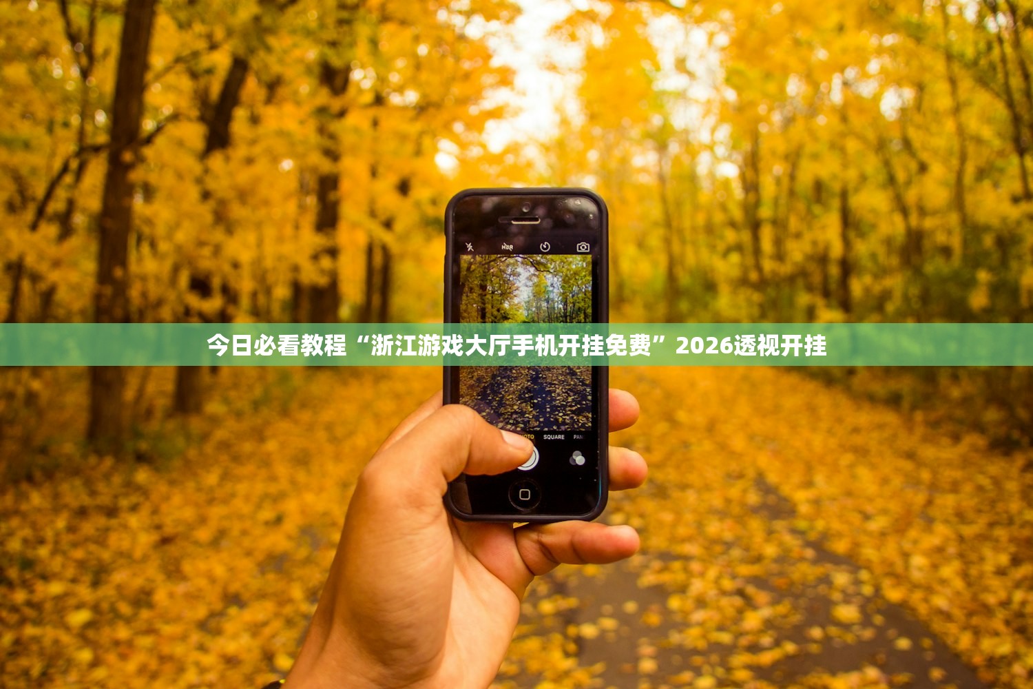 今日必看教程“浙江游戏大厅手机开挂免费”2026透视开挂