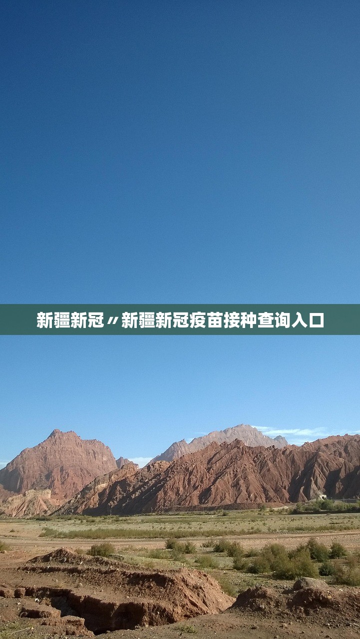 新疆新冠〃新疆新冠疫苗接种查询入口