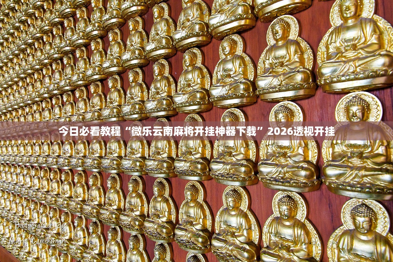 今日必看教程“微乐云南麻将开挂神器下载	”2026透视开挂
