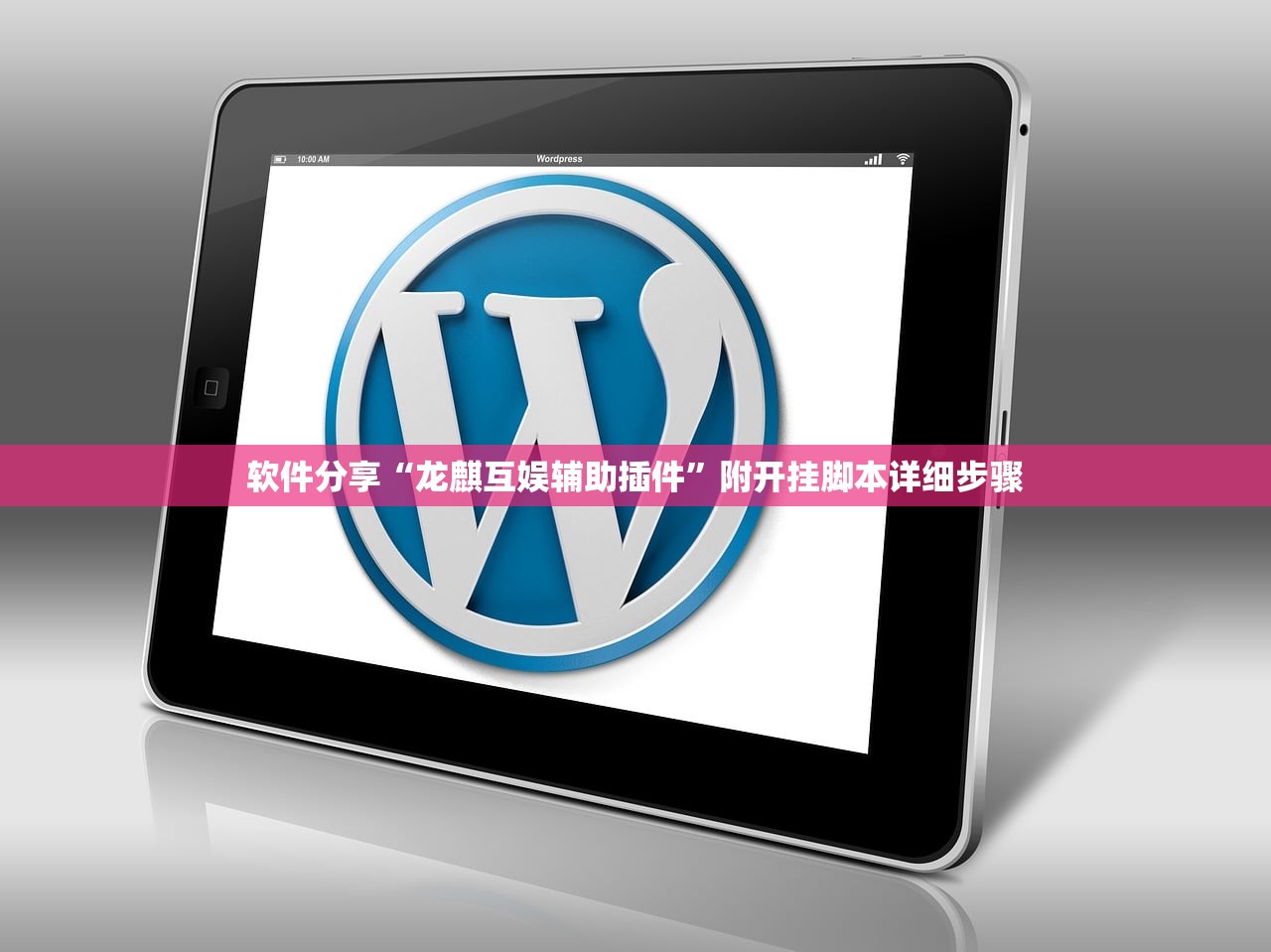 软件分享“龙麒互娱辅助插件”附开挂脚本详细步骤